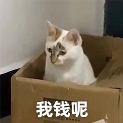 13430197803755116.gif